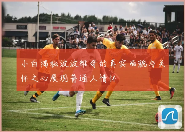小白揭秘波波维奇的真实面貌与关怀之心展现普通人情怀