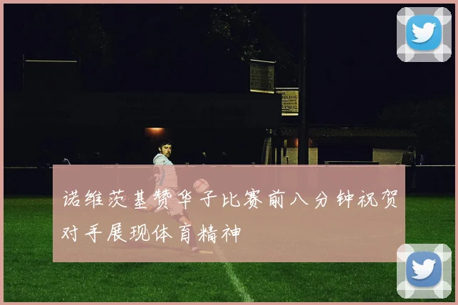 诺维茨基赞华子比赛前八分钟祝贺对手展现体育精神